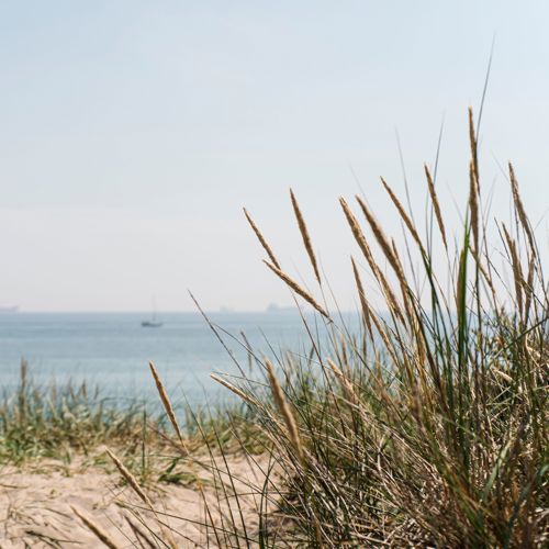 Skagen Sydstrand Havet Klitter