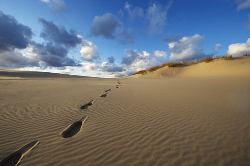 Raabjergmile Fodspor