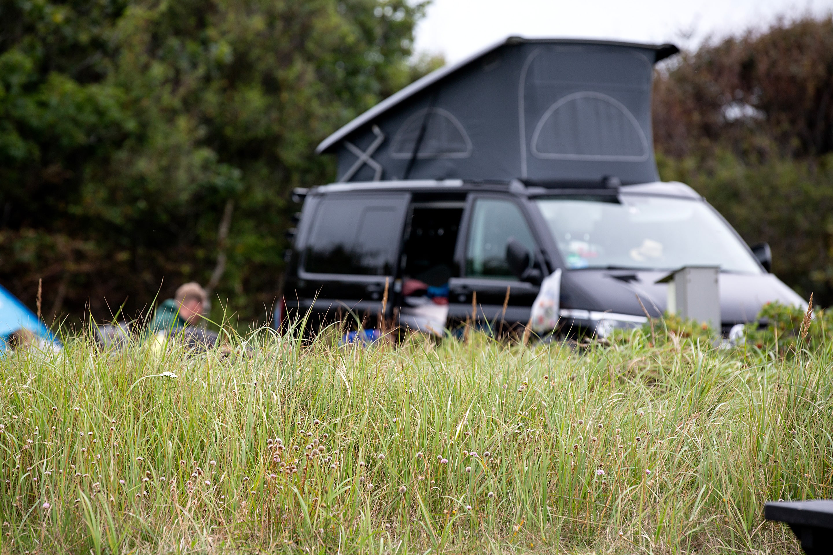 Skagen Sydstrand Camping Skagen Pladsen Gras