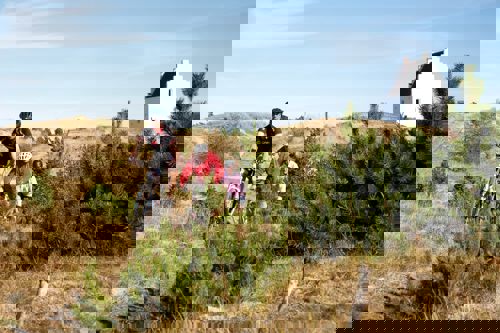 Skagen Sydstrand Camping Skagen Tilsandede Kirke